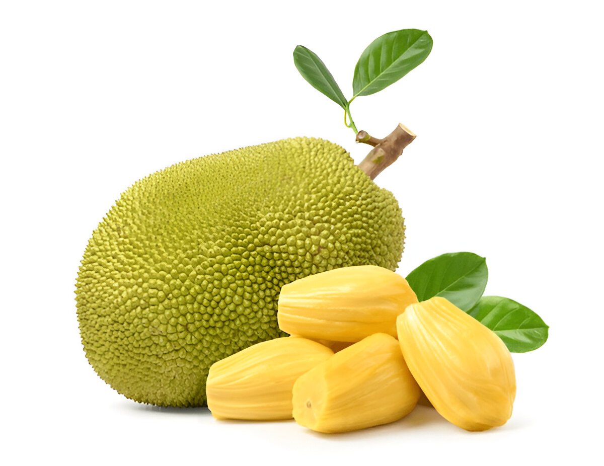 Can jackfruit be eaten during pregnancy?